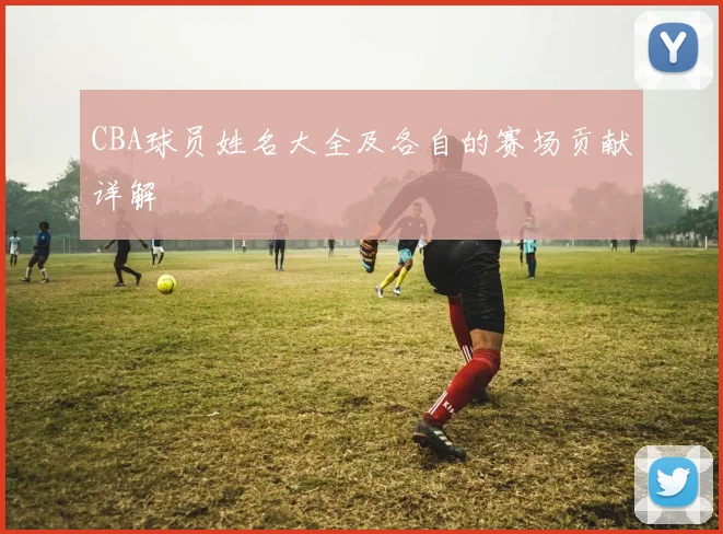 CBA球员姓名大全及各自的赛场贡献详解