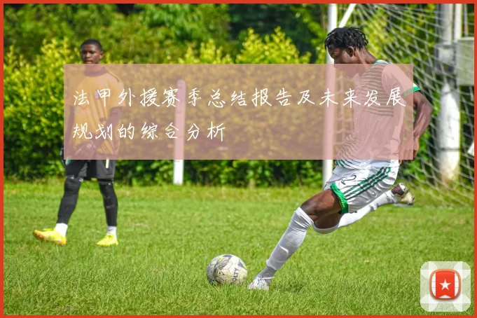 法甲外援赛季总结报告及未来发展规划的综合分析