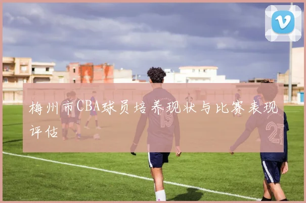 梅州市CBA球员培养现状与比赛表现评估